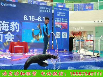 济宁水族馆vs祥龙鱼场（探讨济宁水族馆与祥龙鱼场之间的差异之前需要明确两者的基本信息） 全国水族馆企业名录 第5张