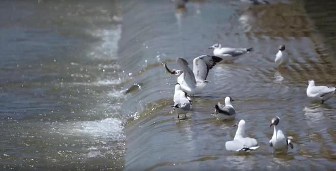 海北藏族自治州水族馆vs祥龙鱼场（海北藏族自治州水族馆的信息在搜索结果中未直接提及） 全国水族馆企业名录 第3张