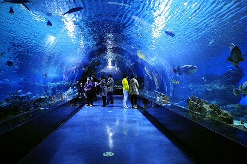 郴州水族馆vs祥龙鱼场（郴州水族馆与祥龙鱼场之间的区别之前，我们需要明确两者的基本概念和功能） 全国水族馆企业名录 第3张