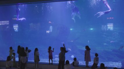 三明水族馆vs祥龙鱼场（三明水族馆和祥龙鱼场） 全国水族馆企业名录 第1张