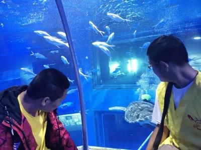 包头水族馆vs祥龙鱼场（包头水族馆与祥龙鱼场各有特色） 全国水族馆企业名录 第2张