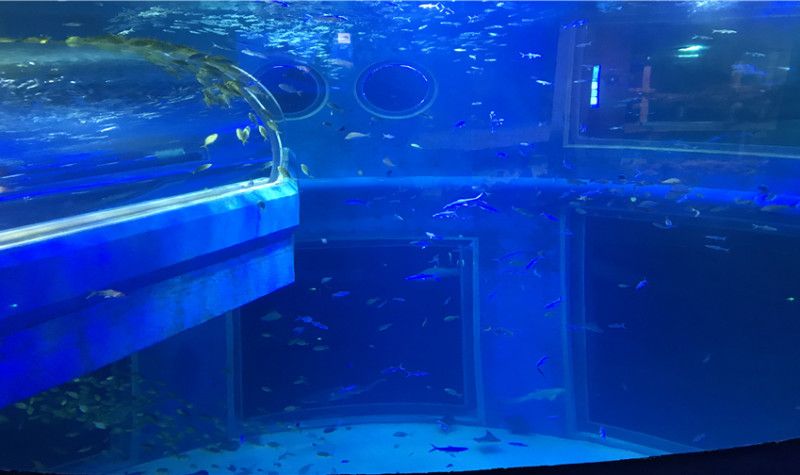 包头水族馆vs祥龙鱼场（包头水族馆与祥龙鱼场各有特色） 全国水族馆企业名录 第1张