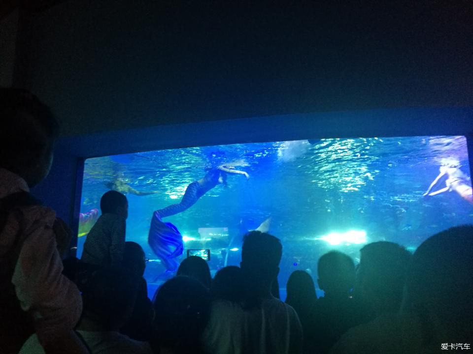 包头水族馆vs祥龙鱼场（包头水族馆与祥龙鱼场各有特色） 全国水族馆企业名录 第3张