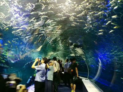 包头水族馆vs祥龙鱼场（包头水族馆与祥龙鱼场各有特色） 全国水族馆企业名录 第4张