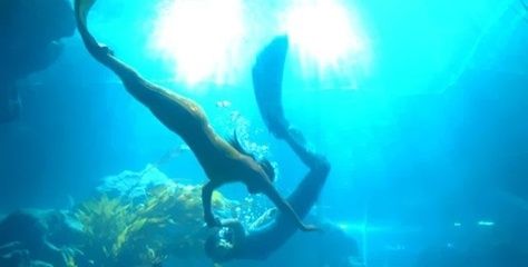 临汾水族馆vs祥龙鱼场（临汾水族馆与祥龙鱼场各有特色） 全国水族馆企业名录 第4张