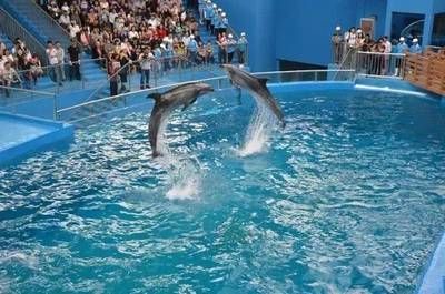 攀枝花水族馆vs祥龙鱼场（攀枝花水族馆位于四川省攀枝花市） 全国水族馆企业名录 第3张