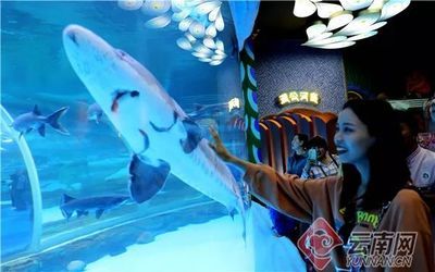 攀枝花水族馆vs祥龙鱼场（攀枝花水族馆位于四川省攀枝花市） 全国水族馆企业名录 第2张