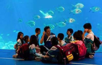 毕节水族馆vs祥龙鱼场（毕节水族馆与祥龙鱼场）