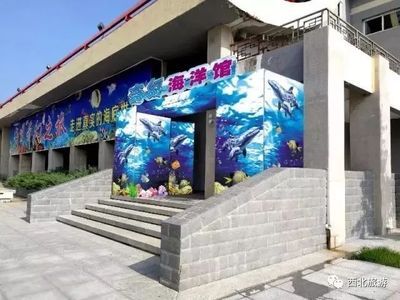 延安水族馆vs祥龙鱼场（延安水族馆与祥龙鱼场的区别） 全国水族馆企业名录 第4张