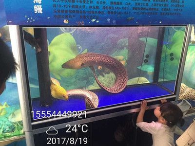 张家口水族馆vs祥龙鱼场（张家口水族馆与祥龙鱼场之间的差异，地理位置与特色） 全国水族馆企业名录 第3张