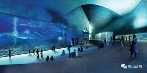 庆阳水族馆vs祥龙鱼场（庆阳水族馆与祥龙鱼场的区别） 全国水族馆企业名录 第4张