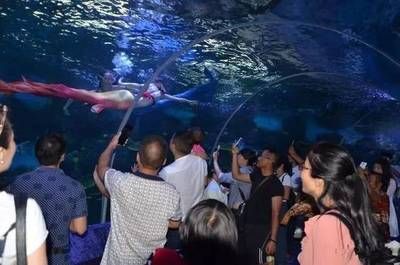 铜仁水族馆vs祥龙鱼场（贵州铜仁水族馆和祥龙鱼场在性质和目标上有所不同） 全国水族馆企业名录 第4张