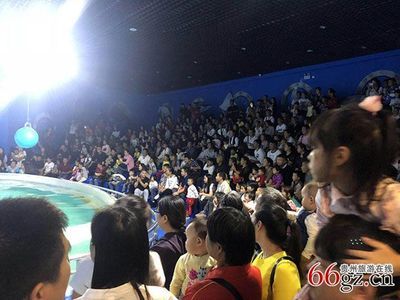 铜仁水族馆vs祥龙鱼场（贵州铜仁水族馆和祥龙鱼场在性质和目标上有所不同） 全国水族馆企业名录 第2张