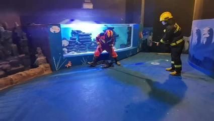 昭通水族馆vs祥龙鱼场（中国云南昭通水族馆和祥龙鱼场各有其特色和目标受众） 全国水族馆企业名录 第1张