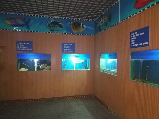 宝鸡水族馆vs祥龙鱼场（宝鸡水族馆与祥龙鱼场各有侧重） 全国水族馆企业名录 第2张