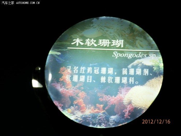 淄博水族馆vs祥龙鱼场（探讨淄博水族馆与祥龙鱼场之间的差异时，我们需要明确两者的业务和特点） 全国水族馆企业名录 第2张