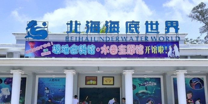 北海水族馆vs祥龙鱼场（中国广西壮族自治区北海市北海市北海市北海市北海水族馆） 全国水族馆企业名录 第2张