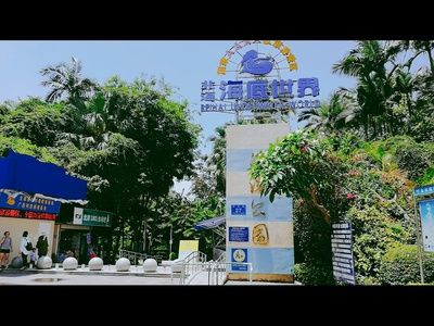 北海水族馆vs祥龙鱼场（中国广西壮族自治区北海市北海市北海市北海市北海水族馆） 全国水族馆企业名录 第5张