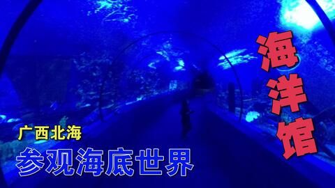 北海水族馆vs祥龙鱼场（中国广西壮族自治区北海市北海市北海市北海市北海水族馆） 全国水族馆企业名录 第4张