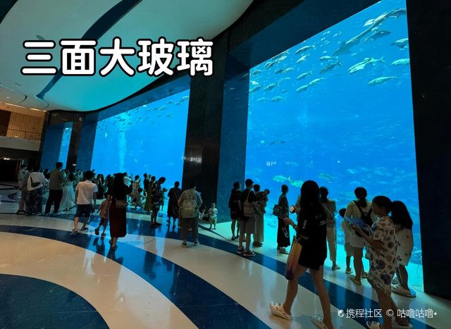 三亚水族馆vs祥龙鱼场（三亚水族馆和祥龙鱼场哪个好） 全国水族馆企业名录 第2张