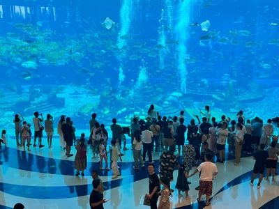 三亚水族馆vs祥龙鱼场（三亚水族馆和祥龙鱼场哪个好） 全国水族馆企业名录 第4张