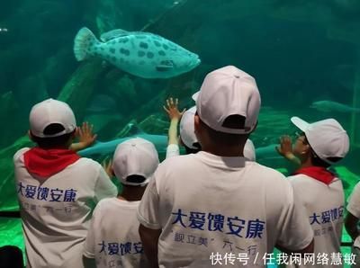 安康水族馆vs祥龙鱼场（安康水族馆与祥龙鱼场之间的差异之前，我们需要明确基本信息和特点） 全国水族馆企业名录 第1张