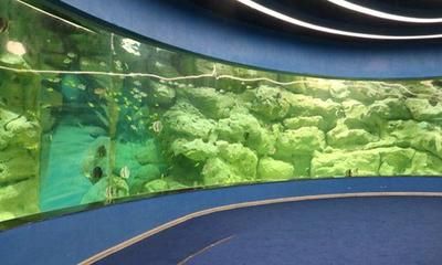 安康水族馆vs祥龙鱼场（安康水族馆与祥龙鱼场之间的差异之前，我们需要明确基本信息和特点） 全国水族馆企业名录 第3张