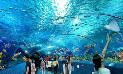 长沙水族馆vs祥龙鱼场（长沙水族馆与祥龙鱼场之间的差异需要明确两者的区别） 全国水族馆企业名录 第2张