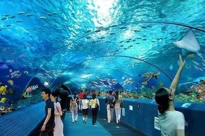 长沙水族馆vs祥龙鱼场（长沙水族馆与祥龙鱼场之间的差异需要明确两者的区别） 全国水族馆企业名录 第3张