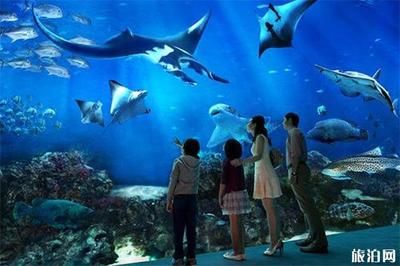 长沙水族馆vs祥龙鱼场（长沙水族馆与祥龙鱼场之间的差异需要明确两者的区别） 全国水族馆企业名录 第5张