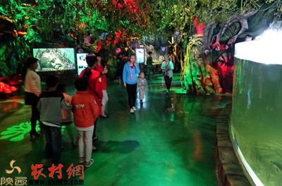 商洛水族馆vs祥龙鱼场（商洛水族馆位于陕西省专注于水族的养护、管理和维护工作） 全国水族馆企业名录 第2张