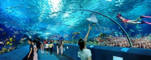 十堰水族馆vs祥龙鱼场（十堰水族馆与祥龙鱼场有什么区别？） 全国水族馆企业名录 第2张