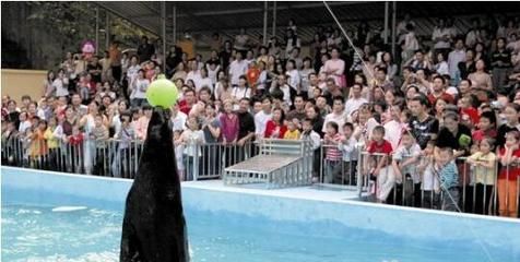 十堰水族馆vs祥龙鱼场（十堰水族馆与祥龙鱼场有什么区别？） 全国水族馆企业名录 第3张