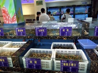 抚州水族馆vs祥龙鱼场（抚州水族馆与祥龙鱼场各有特色） 全国水族馆企业名录 第1张