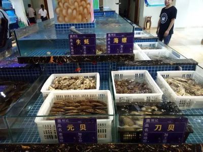 抚州水族馆vs祥龙鱼场（抚州水族馆与祥龙鱼场各有特色） 全国水族馆企业名录 第4张