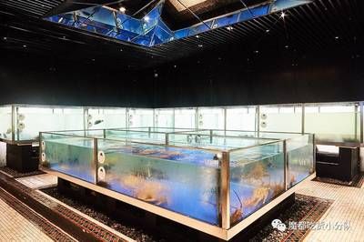 铜川水族馆vs祥龙鱼场（铜川水族馆和祥龙鱼场） 全国水族馆企业名录 第1张