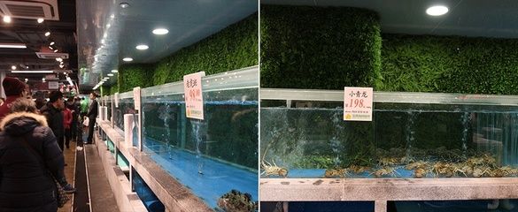 铜川水族馆vs祥龙鱼场（铜川水族馆和祥龙鱼场） 全国水族馆企业名录 第2张