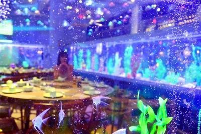 肇庆水族馆vs祥龙鱼场（探讨肇庆水族馆与祥龙鱼场之前需要明确两者之间的区别） 全国水族馆企业名录 第2张