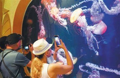 武威水族馆vs祥龙鱼场（武威市祥龙鱼场） 全国水族馆企业名录 第2张