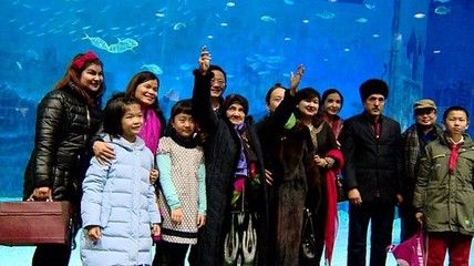 和田水族馆vs祥龙鱼场（和田水族馆与祥龙鱼场之间的差异之前，我们需要明确两者的业务和特点） 全国水族馆企业名录 第2张