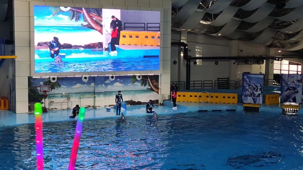 合肥水族馆vs祥龙鱼场（合肥水族馆与祥龙鱼场的区别） 全国水族馆企业名录 第1张