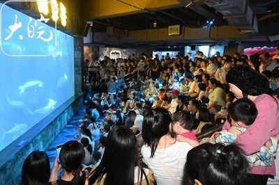 合肥水族馆vs祥龙鱼场（合肥水族馆与祥龙鱼场的区别） 全国水族馆企业名录 第3张