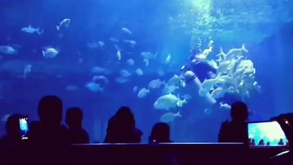 乌鲁木齐水族馆vs祥龙鱼场（乌鲁木齐水族馆与祥龙鱼场各有侧重）