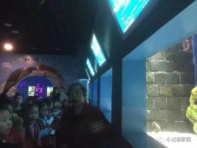 乌鲁木齐水族馆vs祥龙鱼场（乌鲁木齐水族馆与祥龙鱼场各有侧重） 全国水族馆企业名录 第4张