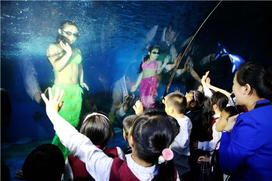 天水水族馆vs祥龙鱼场（天水市麦积区桥南亮点水族馆是一个位于中国的水族馆） 全国水族馆企业名录 第4张