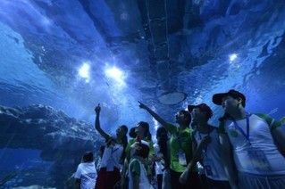 天水水族馆vs祥龙鱼场（天水市麦积区桥南亮点水族馆是一个位于中国的水族馆） 全国水族馆企业名录 第1张