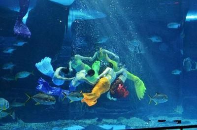 毫州水族馆vs祥龙鱼场（毫州水族馆与祥龙鱼场之前，我们需要明确的具体信息） 全国水族馆企业名录 第4张