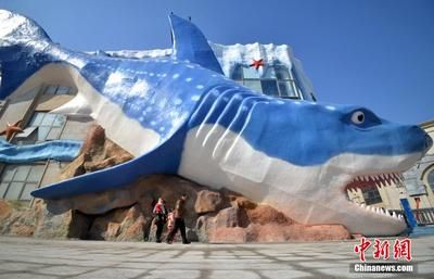 邯郸水族馆vs祥龙鱼场（邯郸市丛台区七彩水族馆和祥龙鱼场的经营产品对比） 全国水族馆企业名录 第1张