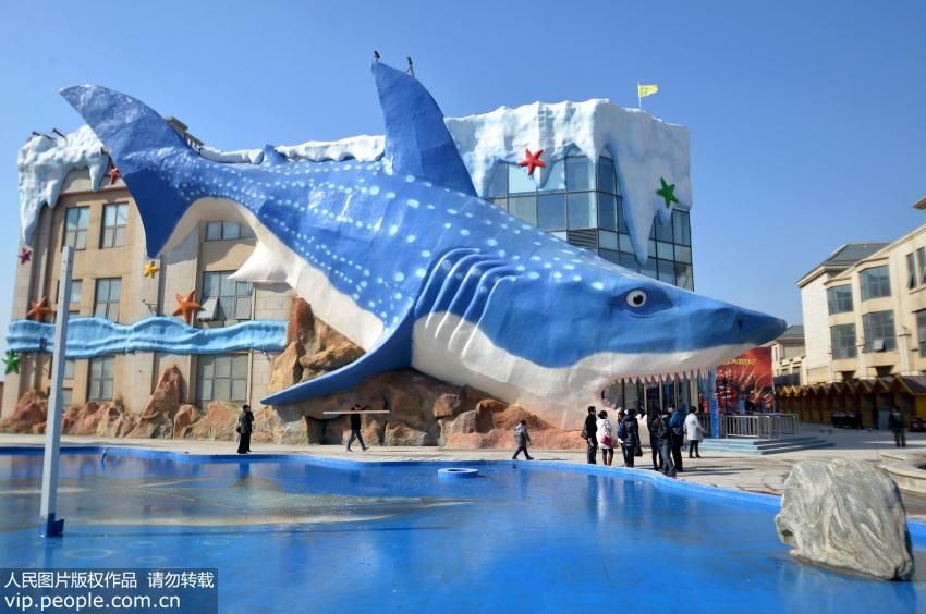 邯郸水族馆vs祥龙鱼场（邯郸市丛台区七彩水族馆和祥龙鱼场的经营产品对比） 全国水族馆企业名录 第5张