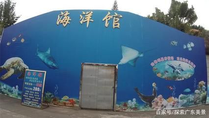 东莞水族馆vs祥龙鱼场（东莞水族馆与祥龙鱼场之间的区别） 全国水族馆企业名录 第2张